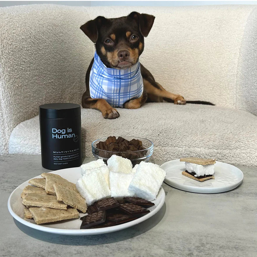 Multivitamin Chews